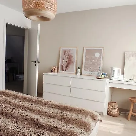 Cocoon לינה וארוחת בוקר Fegersheim
