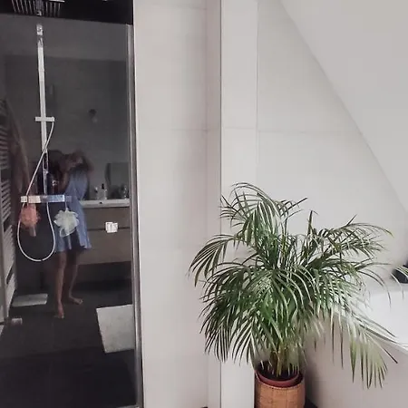 Bed & Breakfast Cocoon *