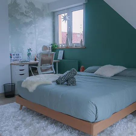 Bed & Breakfast Cocoon *